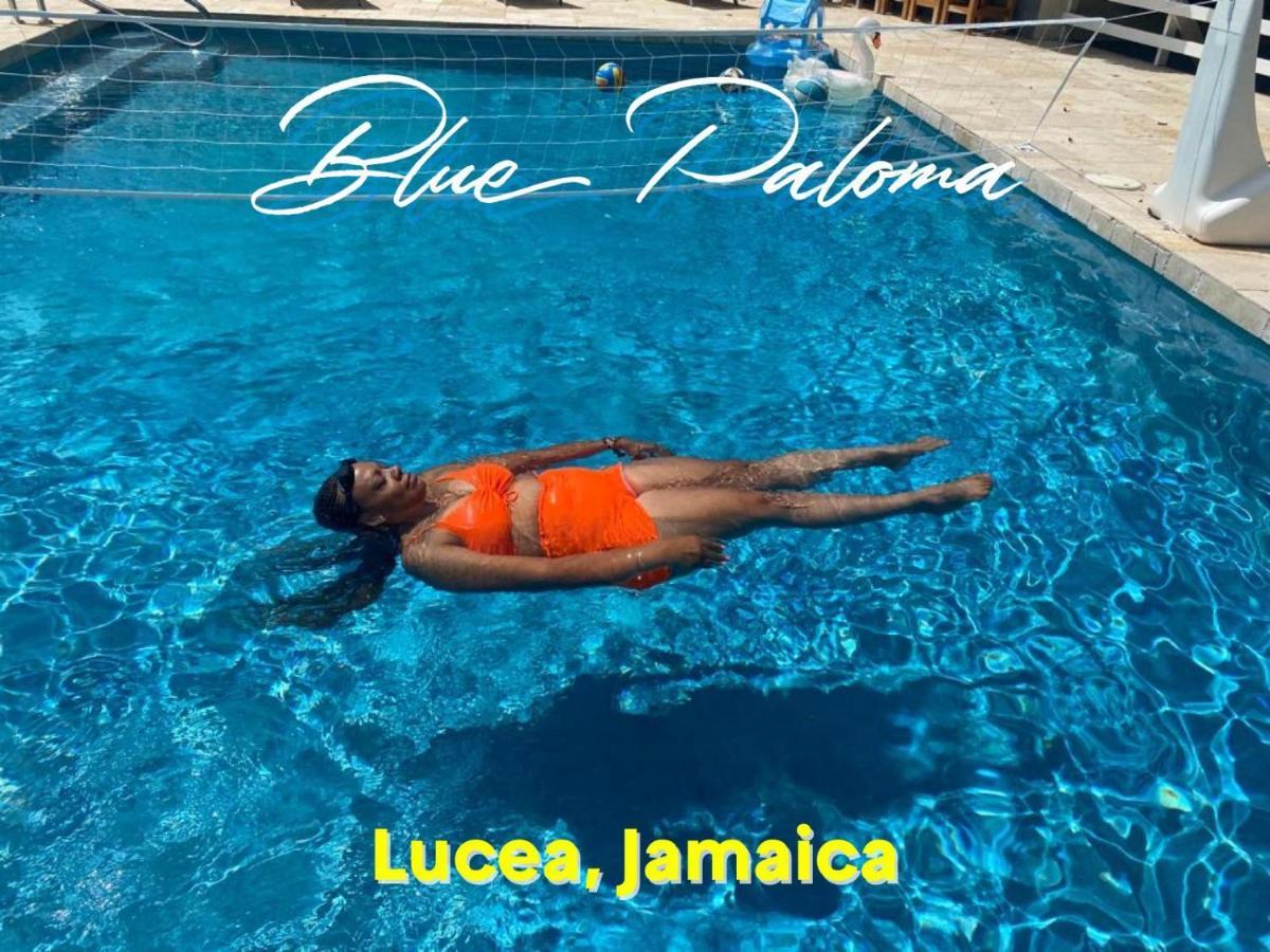 Blue Paloma Bed & Breakfast Lucea Exterior foto