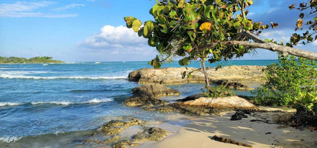 Blue Paloma Bed & Breakfast Lucea Exterior foto